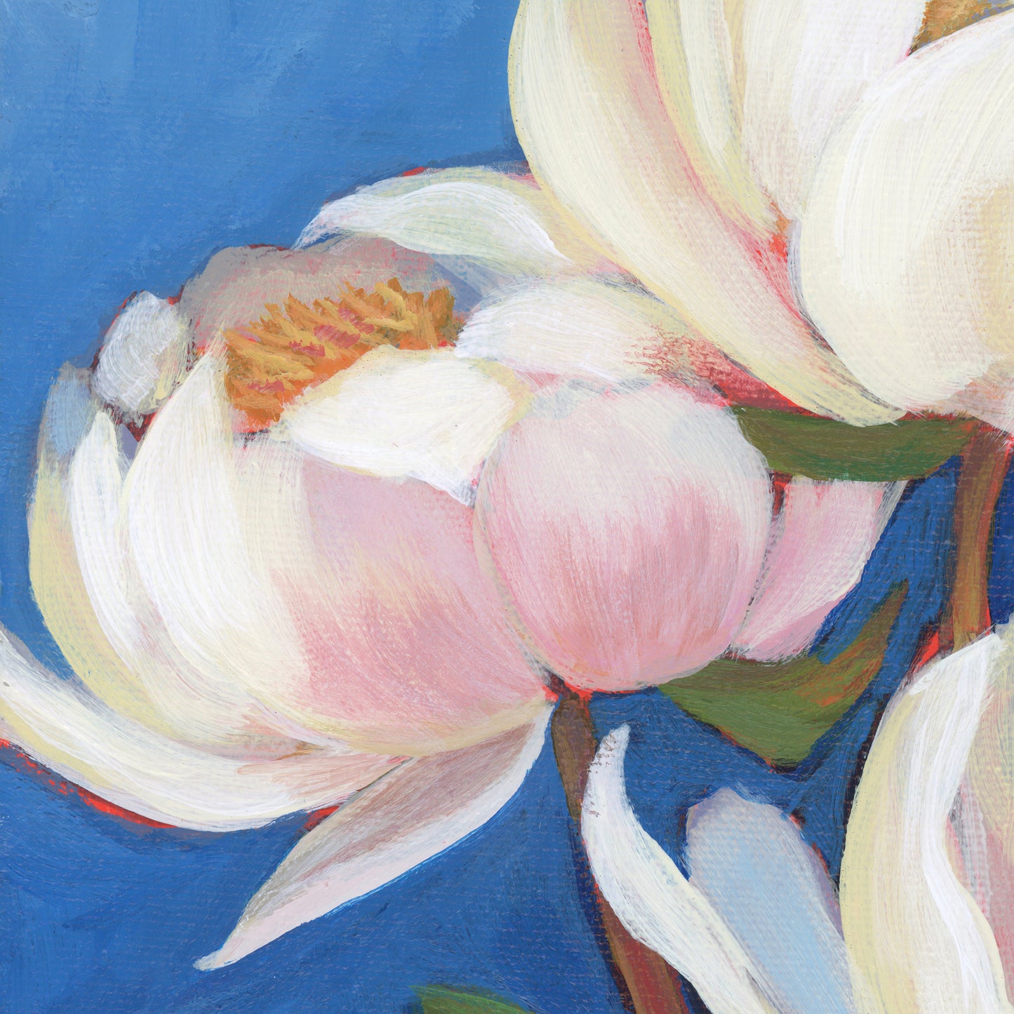 Peony Original Painting 10 x 10 inch
