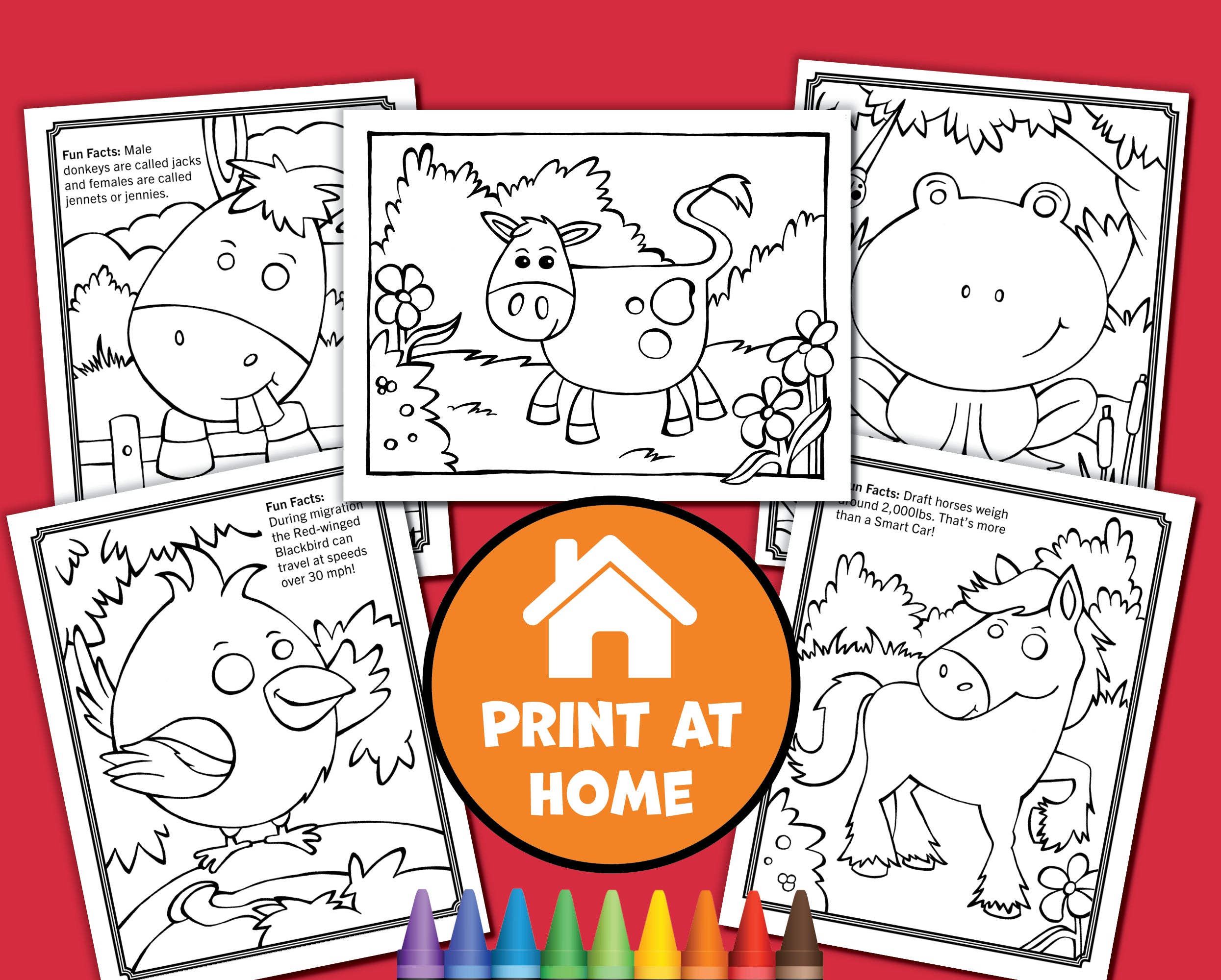 6 Farm Animal Coloring Pages