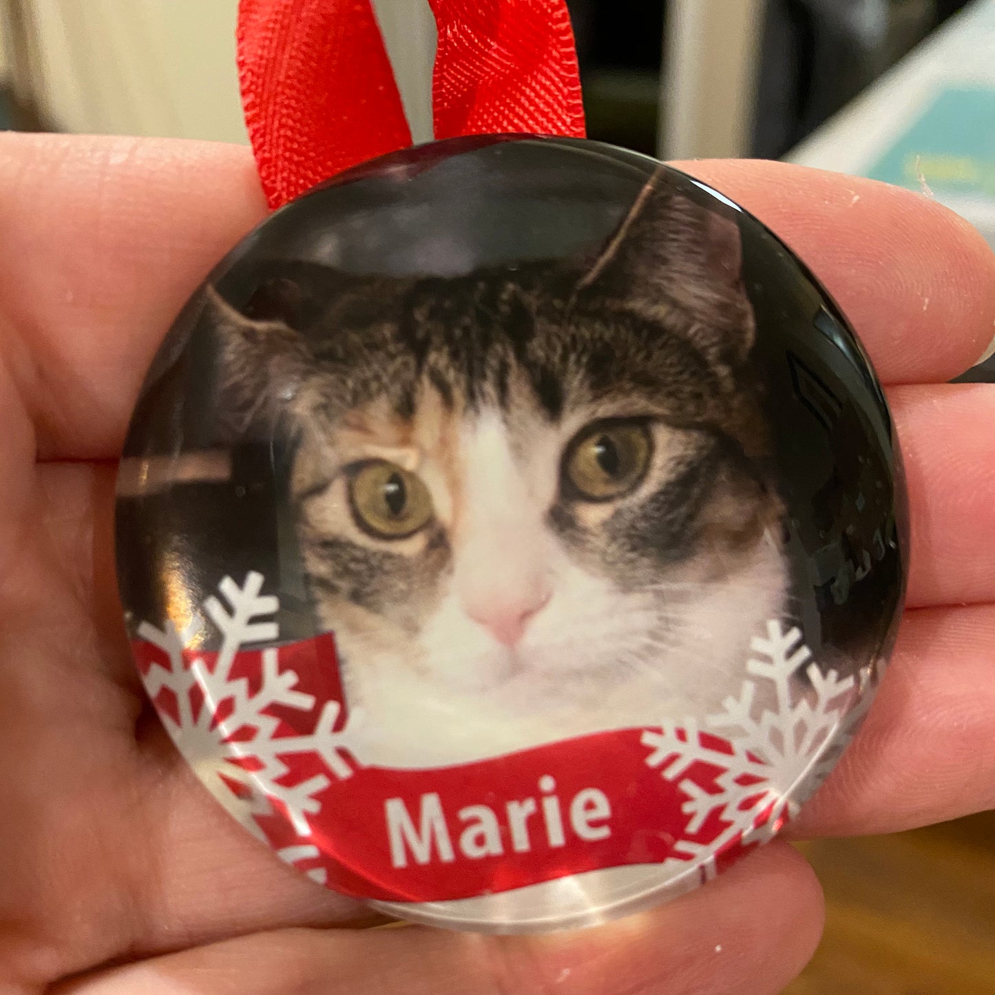 Custom Pet Photo Ornaments