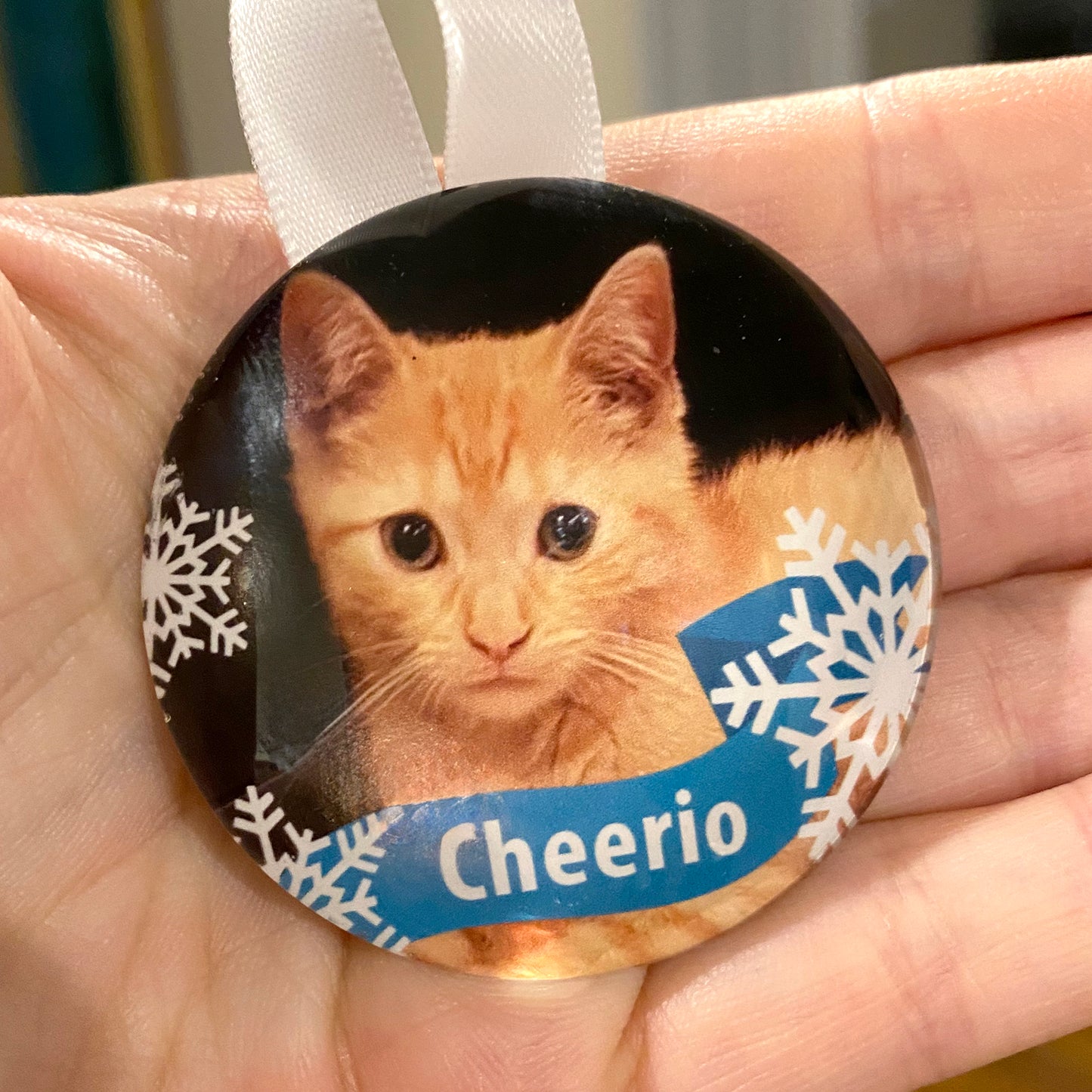 Custom Pet Photo Ornaments