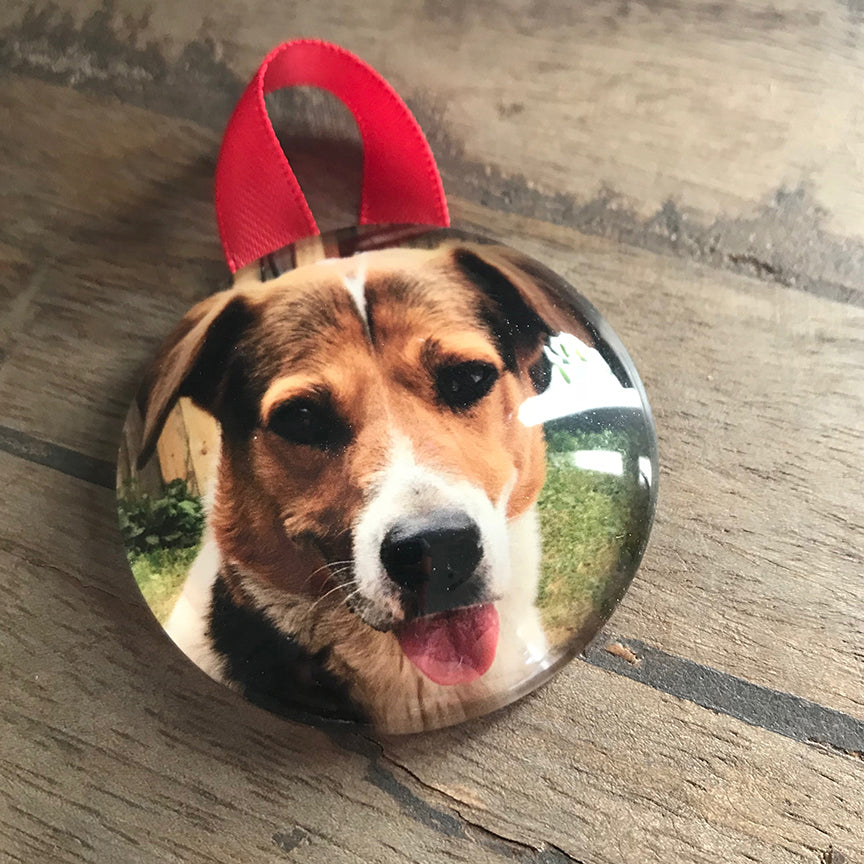 Custom Pet Photo Ornaments