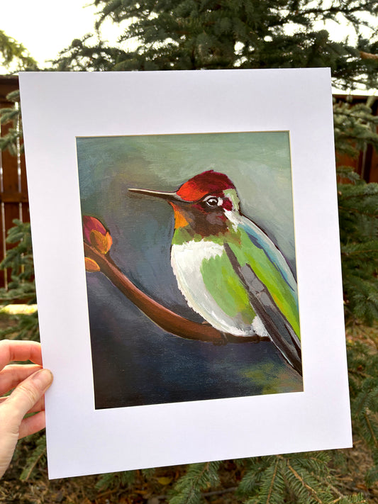 Hummingbird Sitting Print Limited Edition
