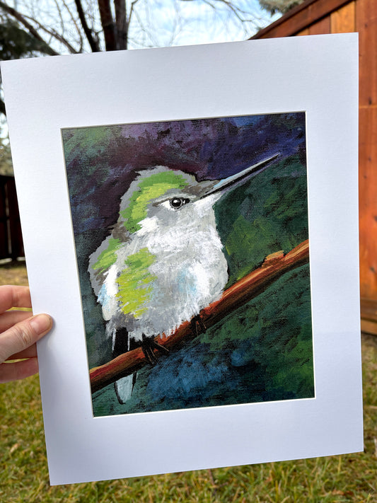 Hummingbird Print Limited Edition