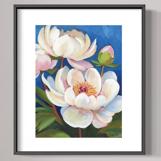 White Peony Flowers Art Print