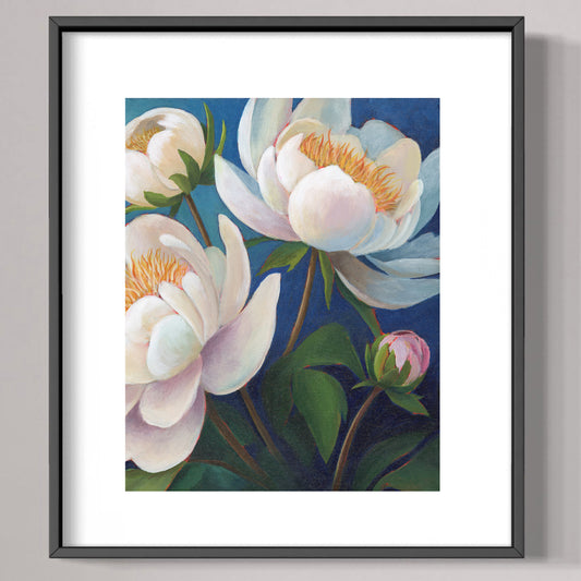 White Peony Flowers Art Print
