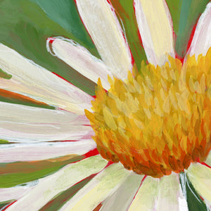 Daisy Flower Original Painting Framed 10 x 10 inch