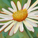 Load image into Gallery viewer, Daisy Flower Original Painting Framed 10 x 10 inch

