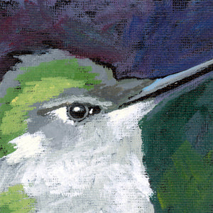 Hummingbird Original Painting 8 x 8 inch
