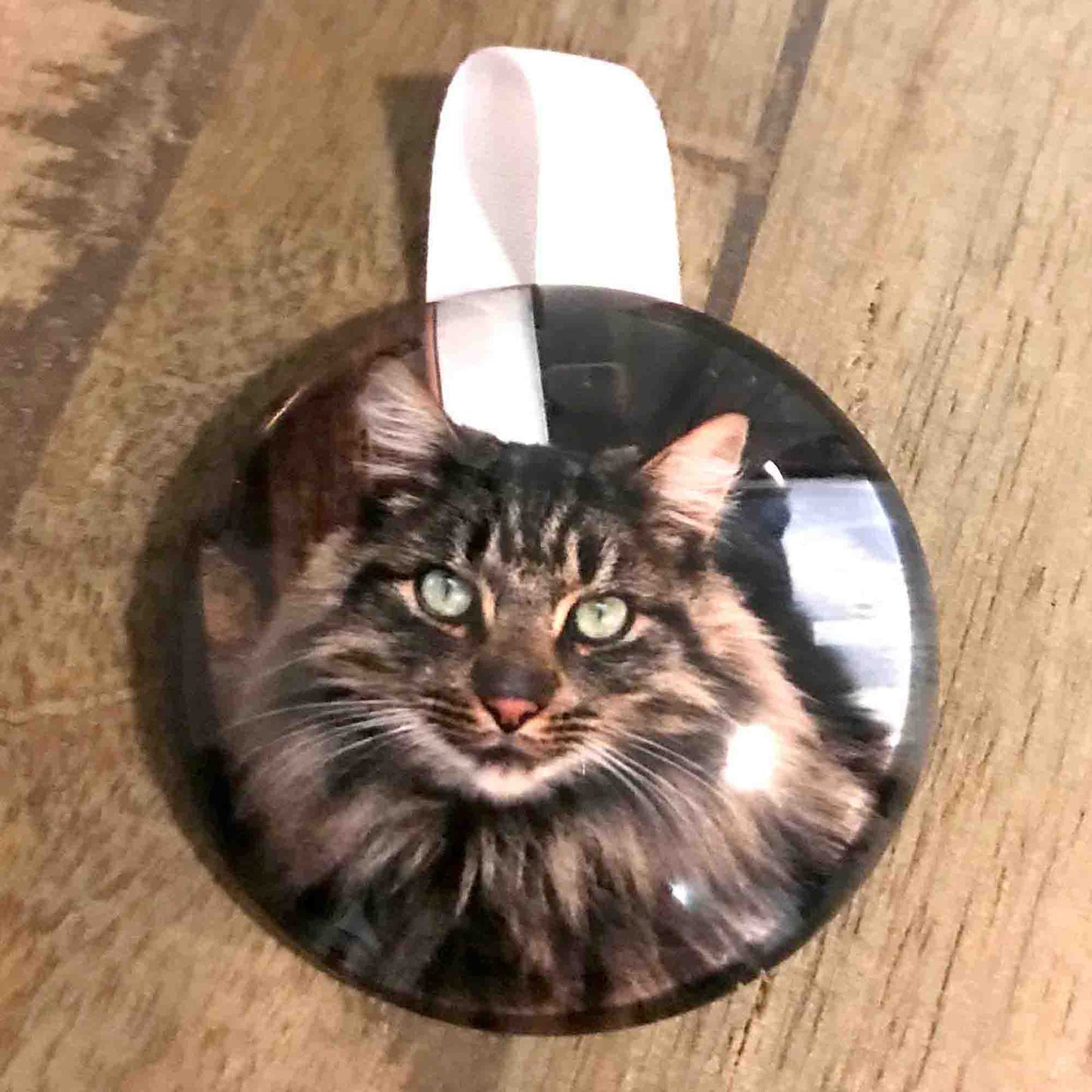 Custom Pet Photo Ornaments