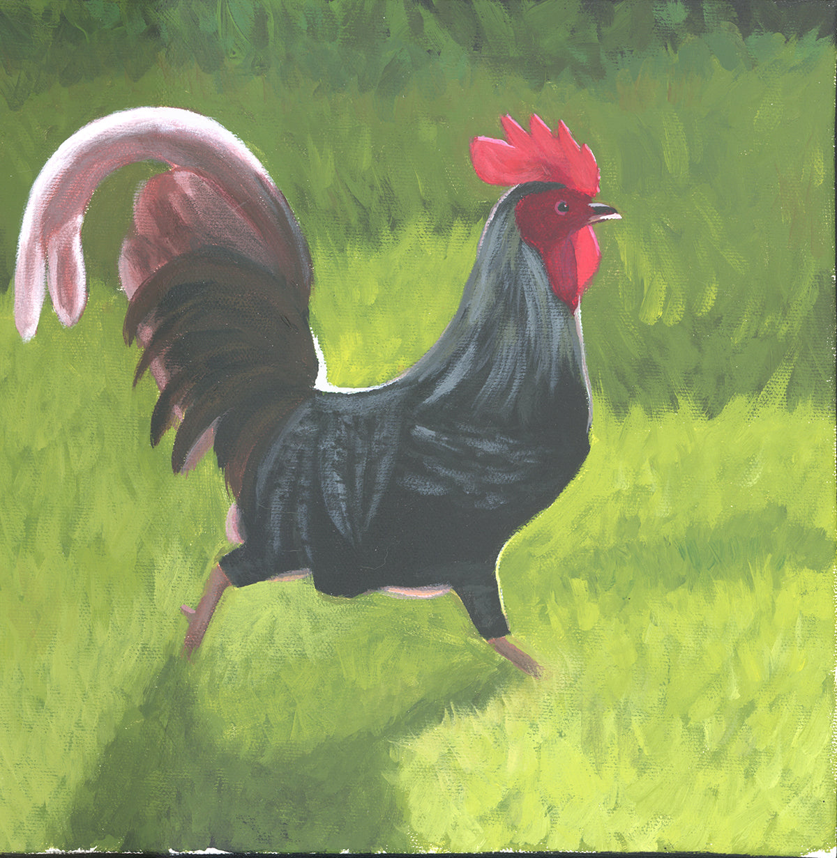 Rooster Painting 10 x 10 inch