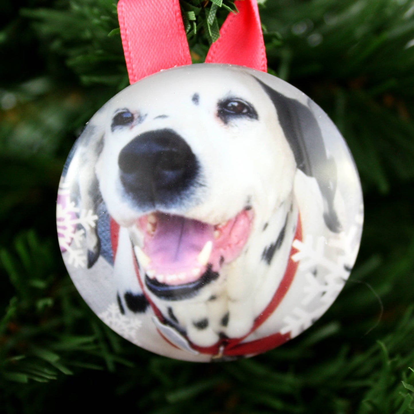 Custom Pet Photo Ornaments